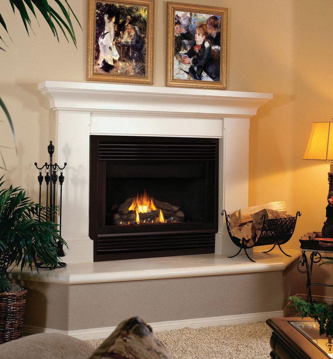 Gas wood fireplace
